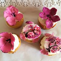 Spring cupcakes