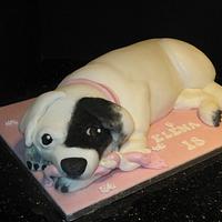 dog cake