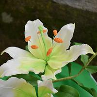 Lilies for lovely friends