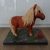3D Pony cake
