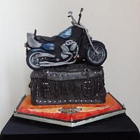 Harley Davidson Sportster Motorbike and Saddlebag