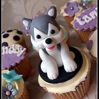 Husky cupcake