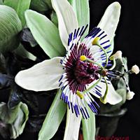 Passionflower composition