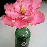 Pink Magnolia 2