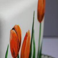 Painted tulips
