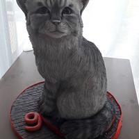 3D Cat cake
