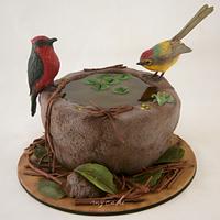 Torta "Naturaleza" Torta "Naturaleza"