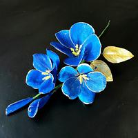 Blue flowers... 