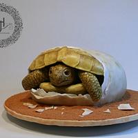Hatching Turtle
