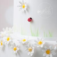 Daisies and ladybird cake