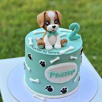 sweet dog cake
