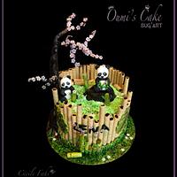 Panda’s Cake 🐼 