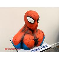 Spider-Man Bust Cake