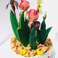 Flowerpaste Iris