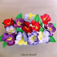 Wafer paper pansy flowers
