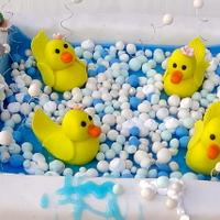 Ducks & Bubbles