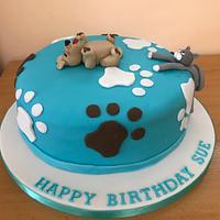 Cat & dog cake