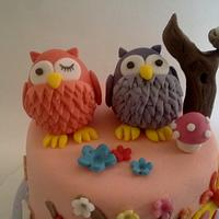 Owls cake and cookies
