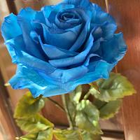 Blue rose...