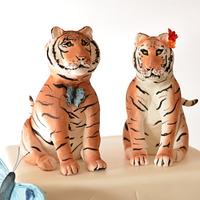Tigre et Tigresse