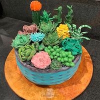 Succulent Garden Cake