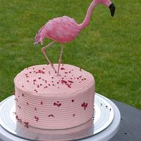 Penelope the Pink Flamingo Cake