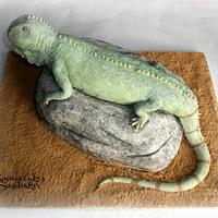 3D Iguana Cake