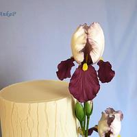 Cake with iris