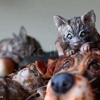 Bassett Hound & Kittens 