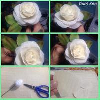 white Rose 