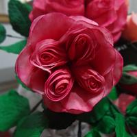 A Damasque Rose & a Cecile Rose 