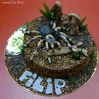 Tarantula cake!!!! Brrr...
