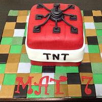 7th Birthday Mine Craft TNT Cake