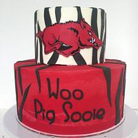 Arkansas Razorbacks Birthday Cake