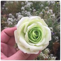 Lime freeform roses