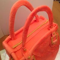 Crocodile handbag cake
