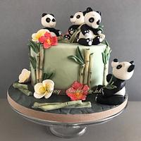 The Panda Bamboo Feast! 
