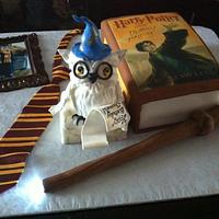 Birthday cake for Harry Potter fan