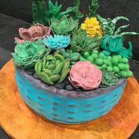 Succulent Garden Cake