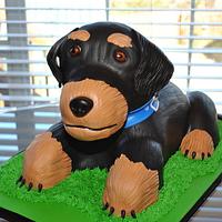 Sculpted Dog Cake