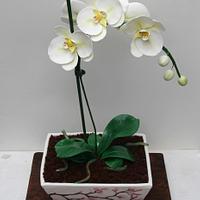 Orchid flowerpot cake