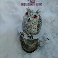 sibirian owl cake