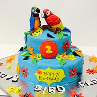 Macaw bird cake