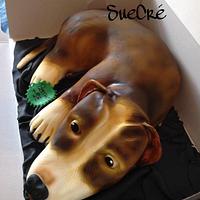 Cake Dog Tyser