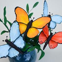Bouquet of butterflies