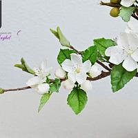 Japan International Collaboration - Ikebana Style Apple blossoms 