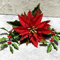 Poinsettia and holly 