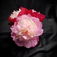Wafer Paper Peony 