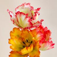 Gumpaste tulip