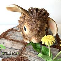 Nutella the pygmy rabbit